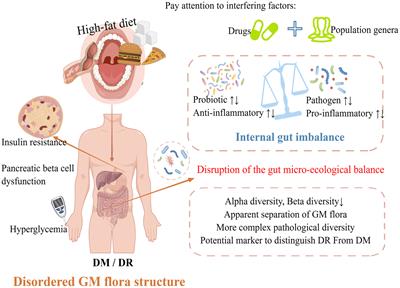 Research progress of diabetic retinopathy and gut microecology